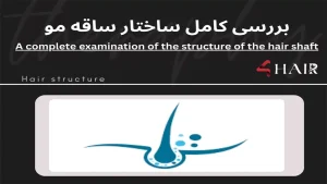 بررسی کامل ساختار ساقه مو