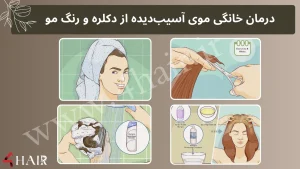 بلاگ